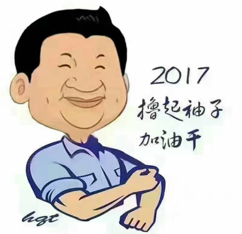2017年，“大家擼起袖子加油干”！